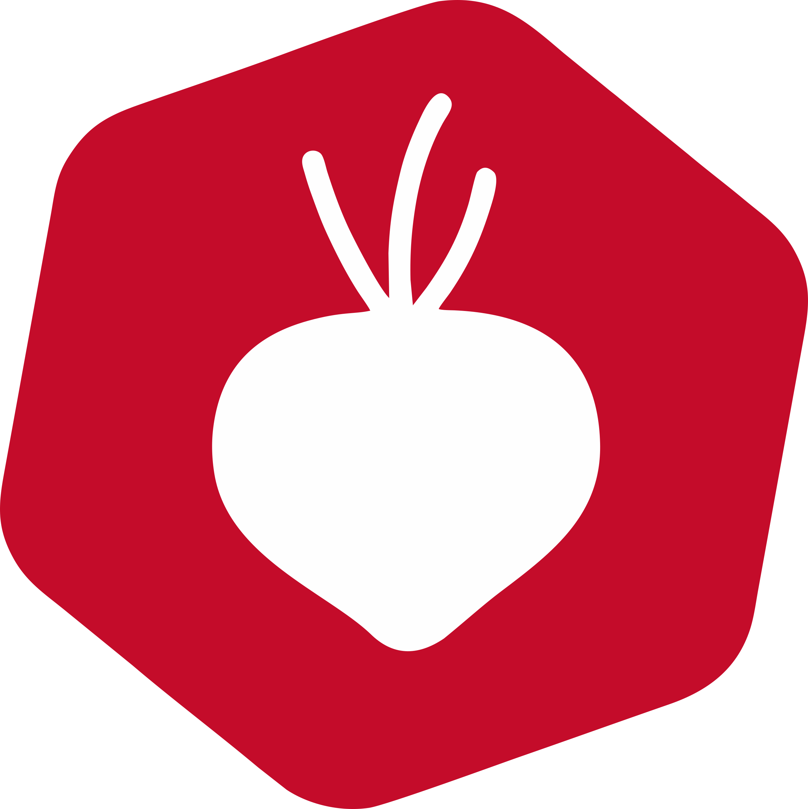 Bitroot Logo